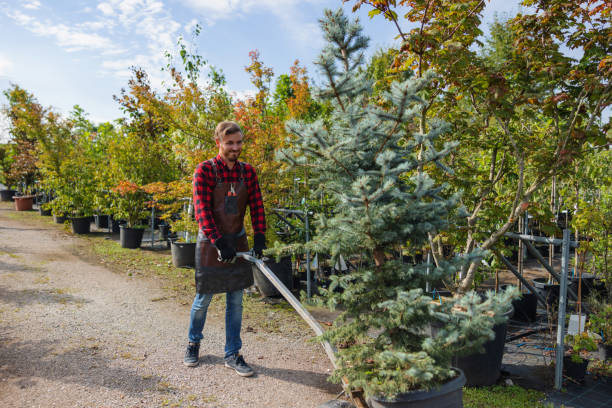 Best Tree Trimming Near Me  in Granite Falls, NC